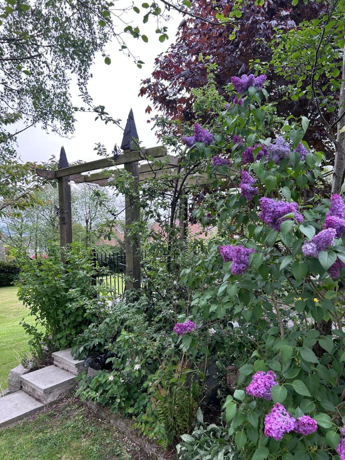The Loft At Rowantree Cottage Dromara Εξωτερικό φωτογραφία